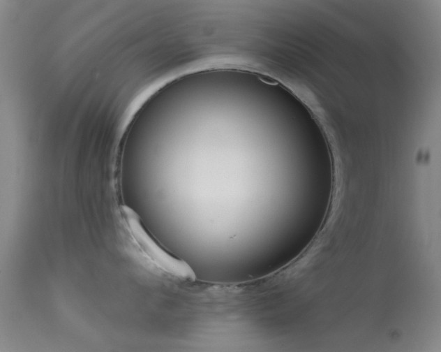 X0000113610912200909251139