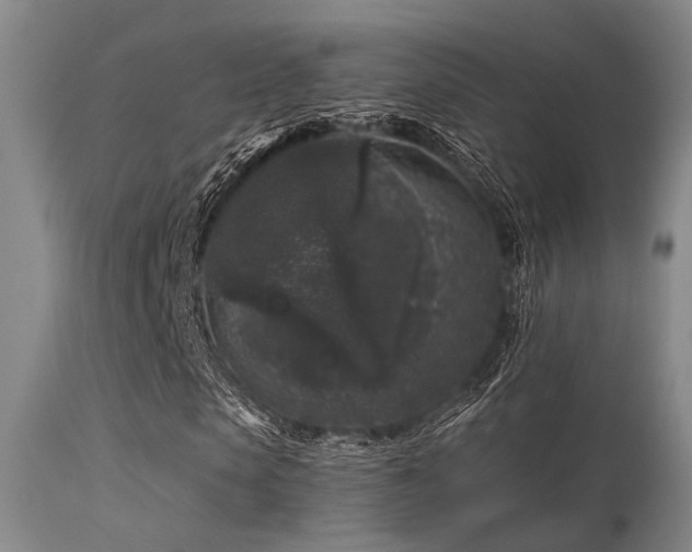 X0000113610913200909251138