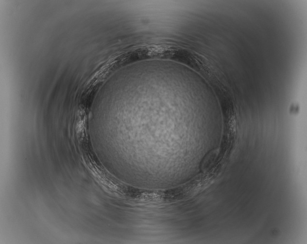 X0000113610914200909251138