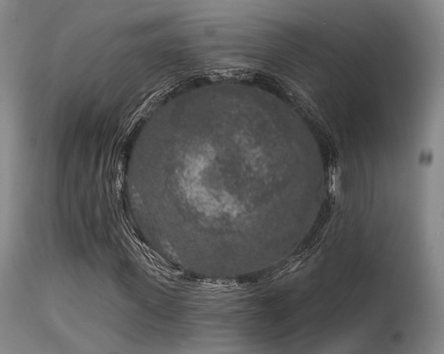 X0000113610915200909251138