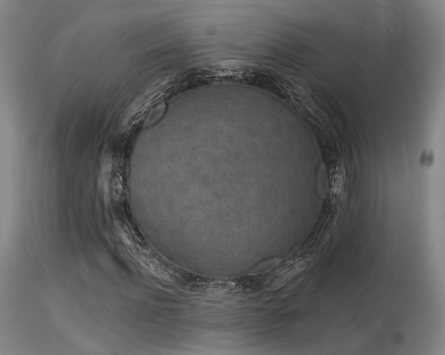 X0000113610916200909251138