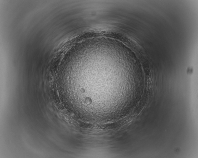 X0000113610917200909251138