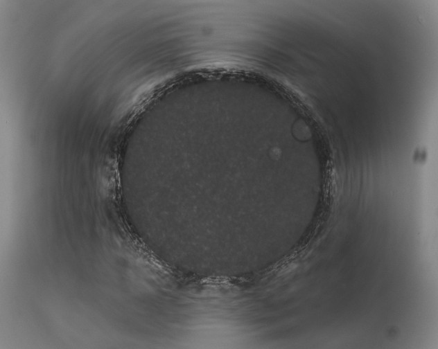 X0000113610918200909251138