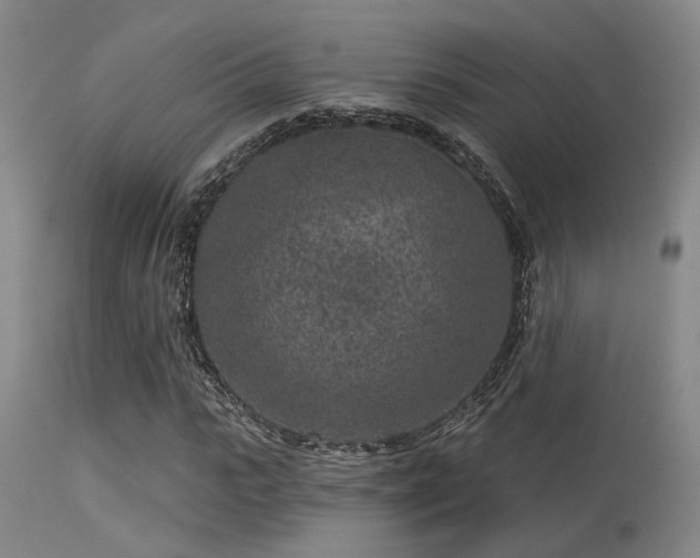 X0000113610919200909251138