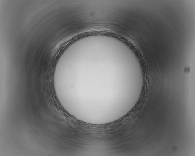 X0000113610920200909251138