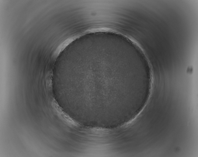 X0000113610921200909251138