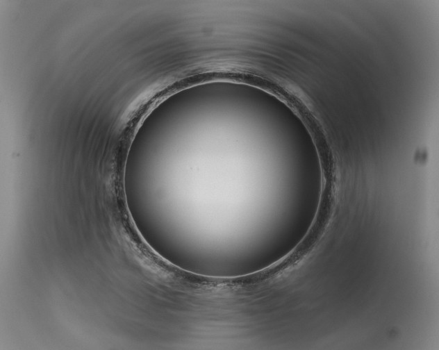 X0000113610922200909251138