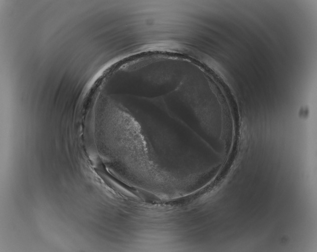 X0000113610923200909251138