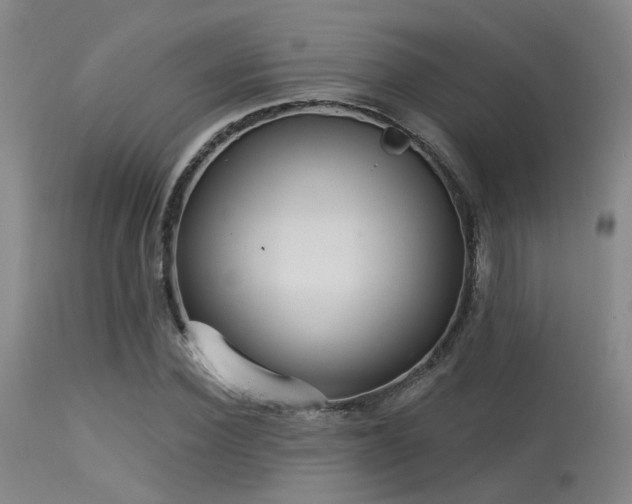 X0000113610924200909251139