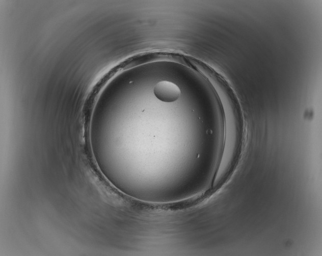 X0000113610925200909251139