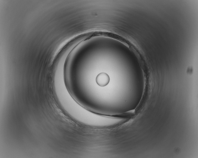 X0000113610926200909251139