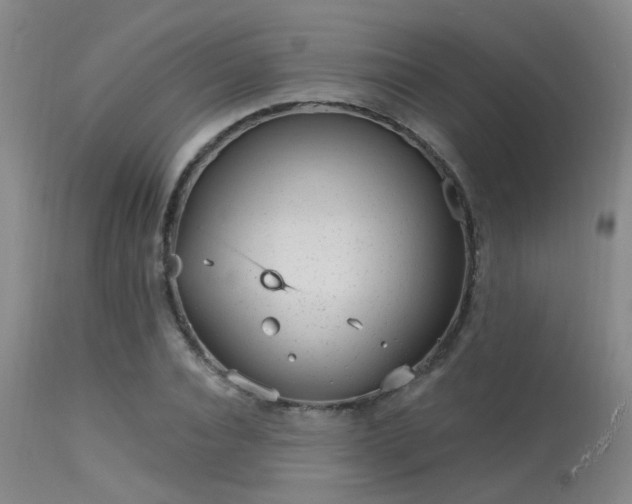 X0000113610928200909251139