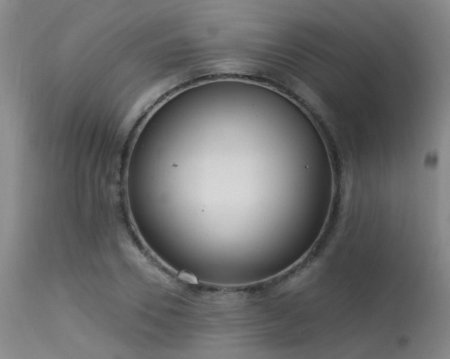 X0000113610930200909251139