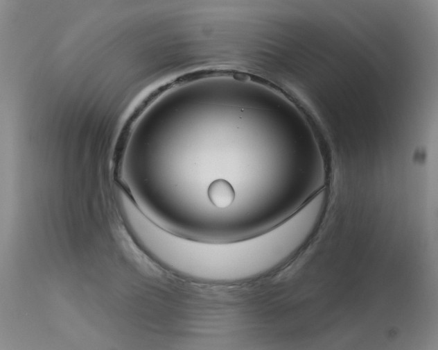 X0000113610932200909251139