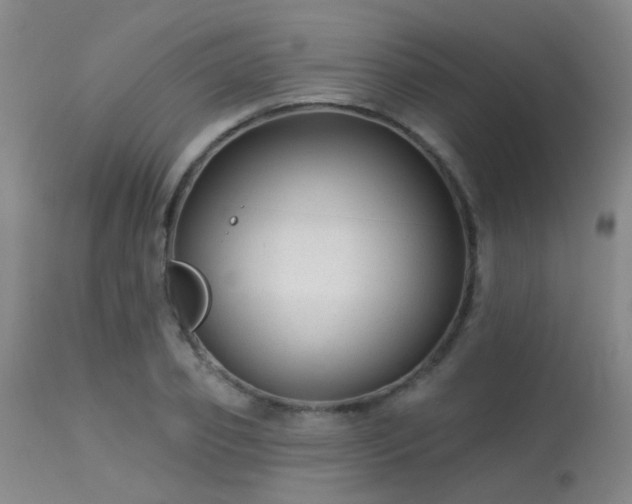 X0000113610933200909251139