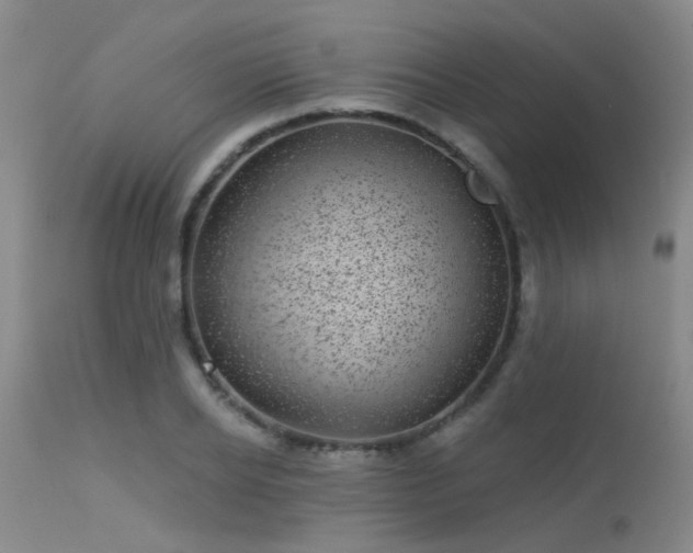 X0000113610934200909251139