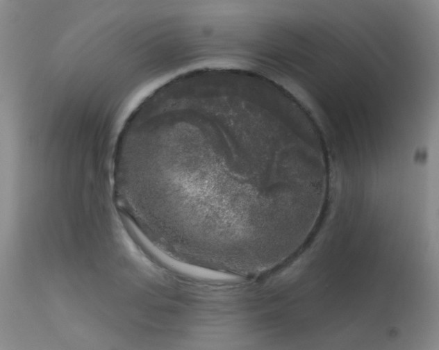 X0000113610935200909251139