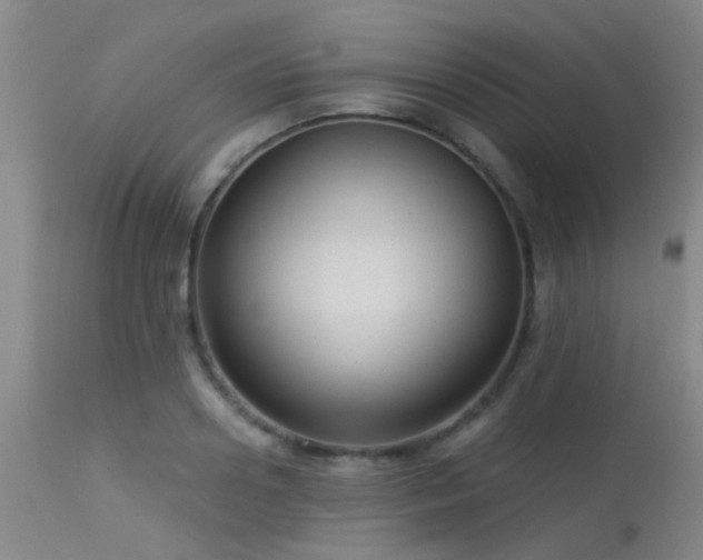 X0000113610938200909251139