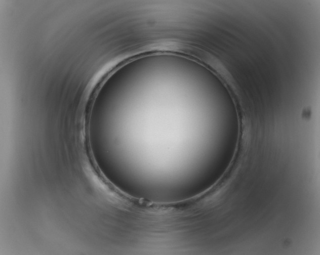 X0000113610939200909251139