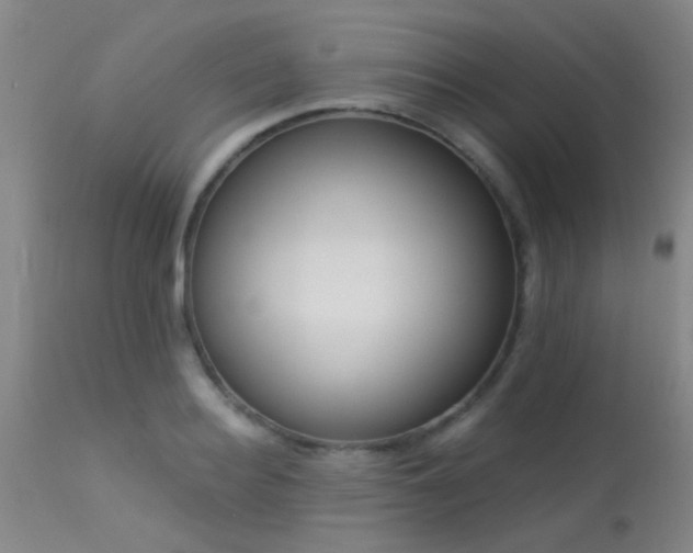 X0000113610940200909251139