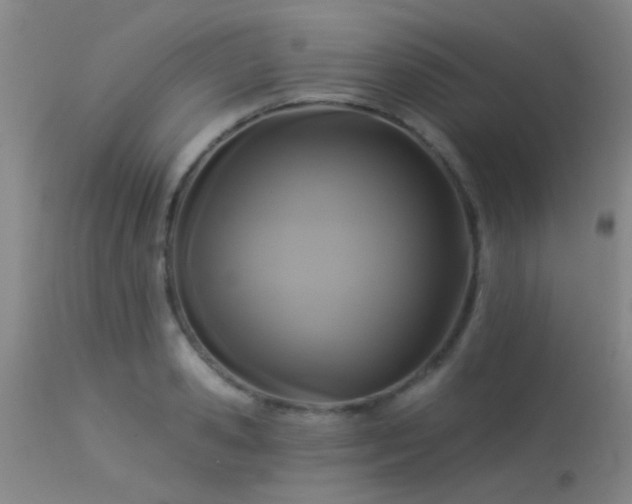 X0000113610941200909251139