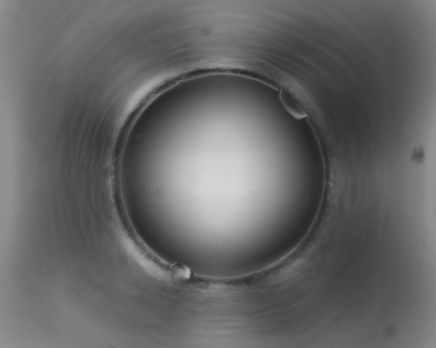 X0000113610942200909251139