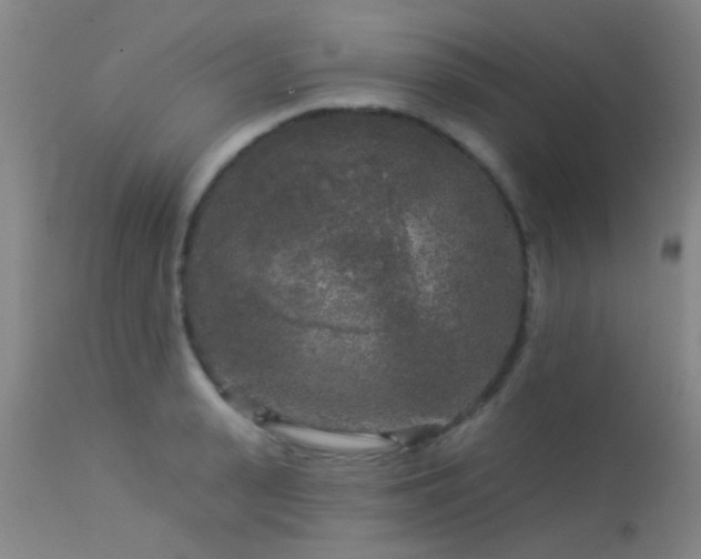 X0000113610943200909251139