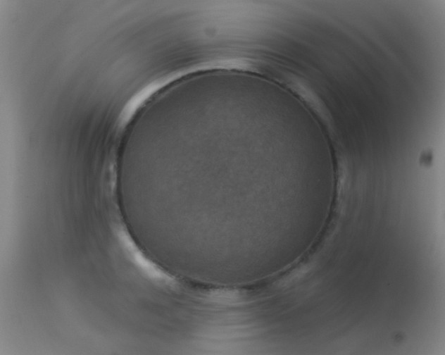 X0000113610944200909251139