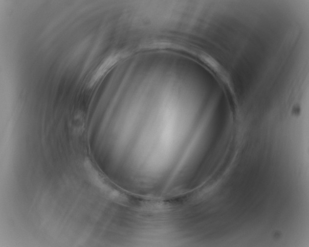 X0000113610945200909251139