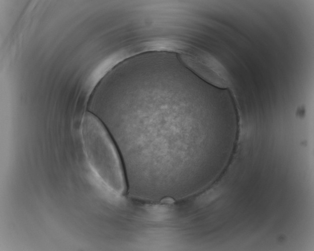 X0000113610946200909251139