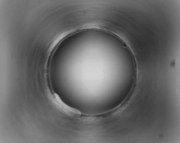 X0000113610949200909251139