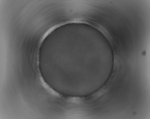 X0000113610950200909251139