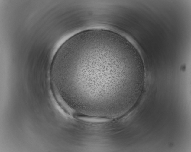 X0000113610951200909251139