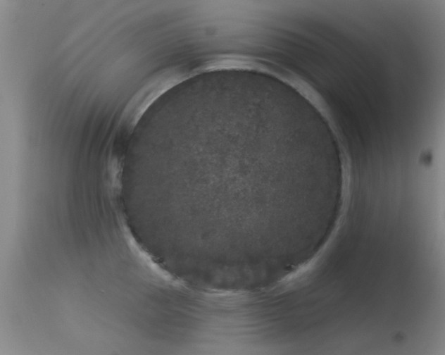 X0000113610953200909251139