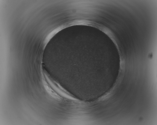 X0000113610954200909251139