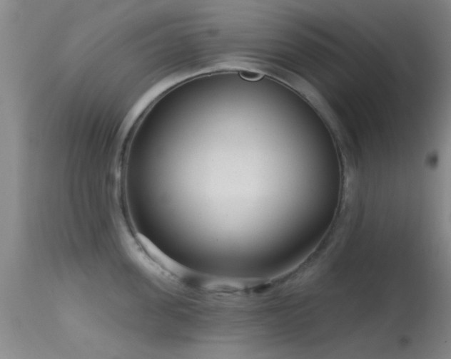 X0000113610955200909251139