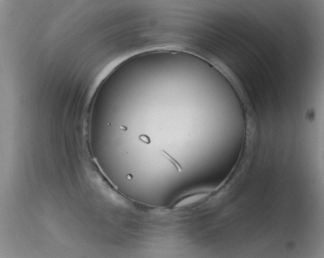 X0000113610956200909251139