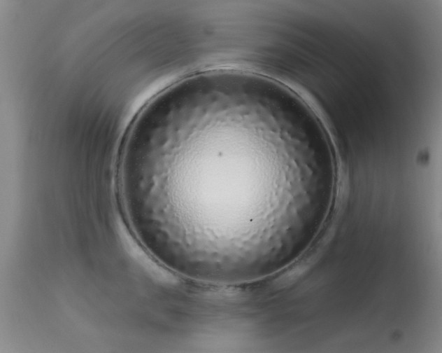 X0000113610957200909251139