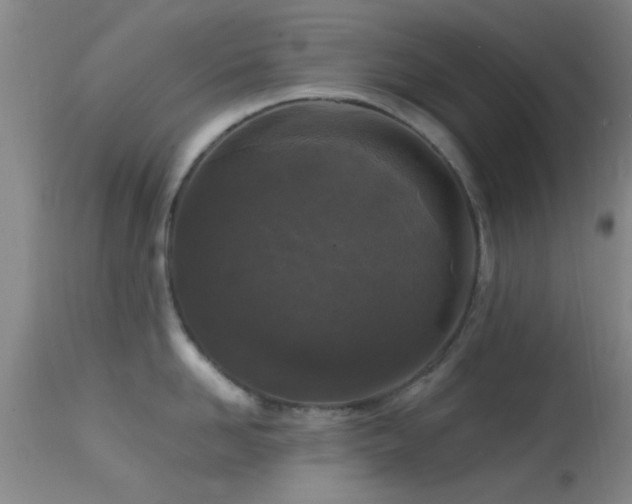 X0000113610958200909251139