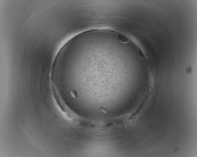 X0000113610959200909251139