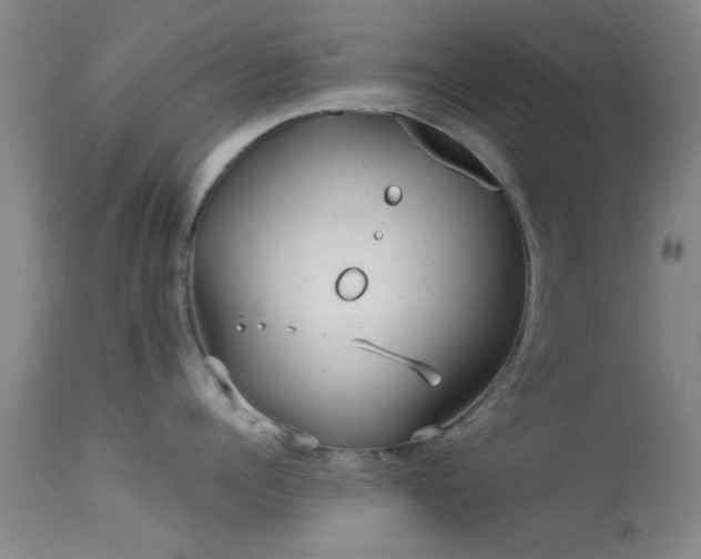 X0000113610960200909251139