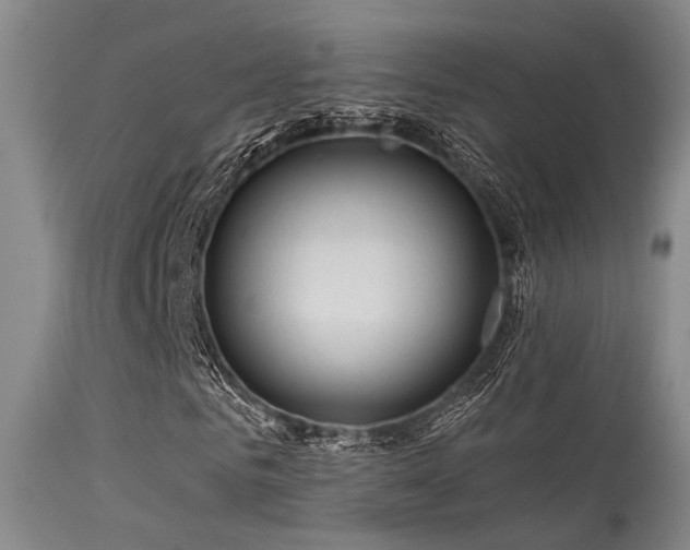 X0000113610961200909251138