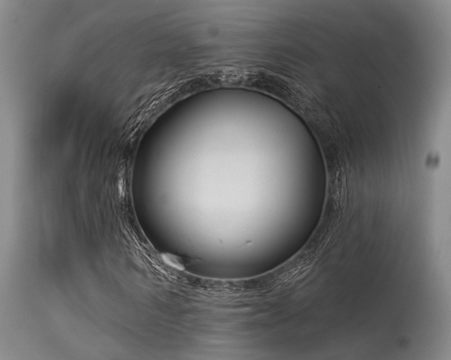 X0000113610962200909251138