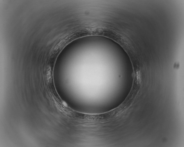 X0000113610963200909251138