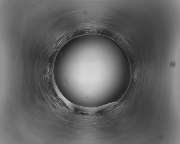 X0000113610964200909251138