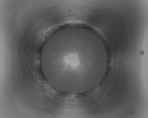 X0000113610966200909251138