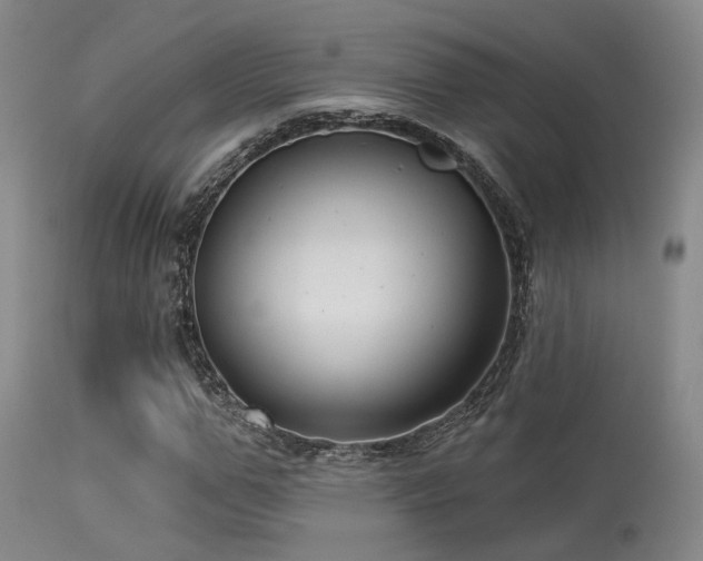 X0000113610967200909251138