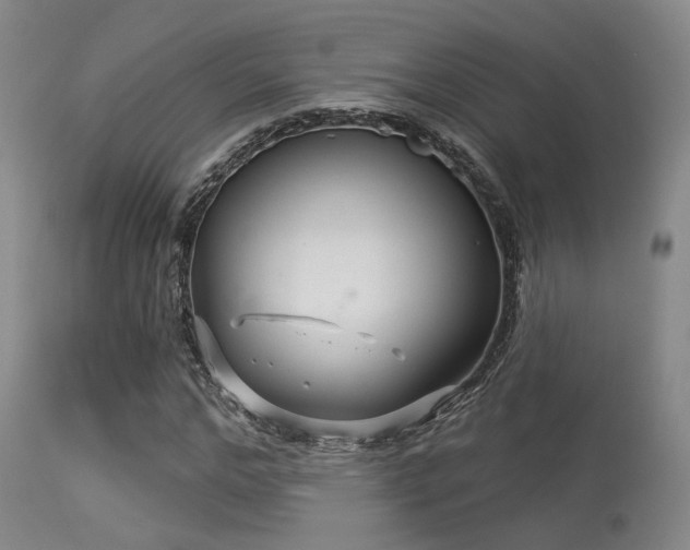 X0000113610968200909251138