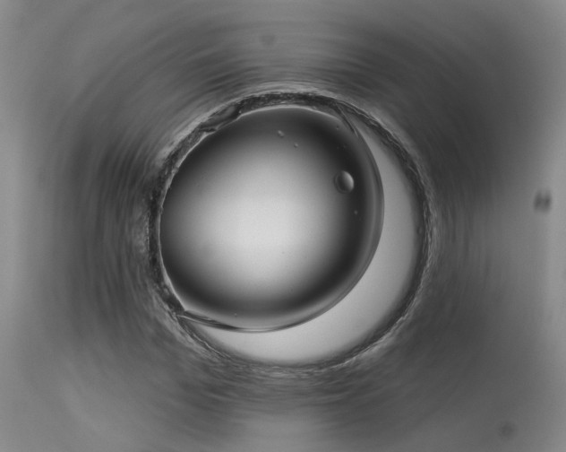 X0000113610969200909251138