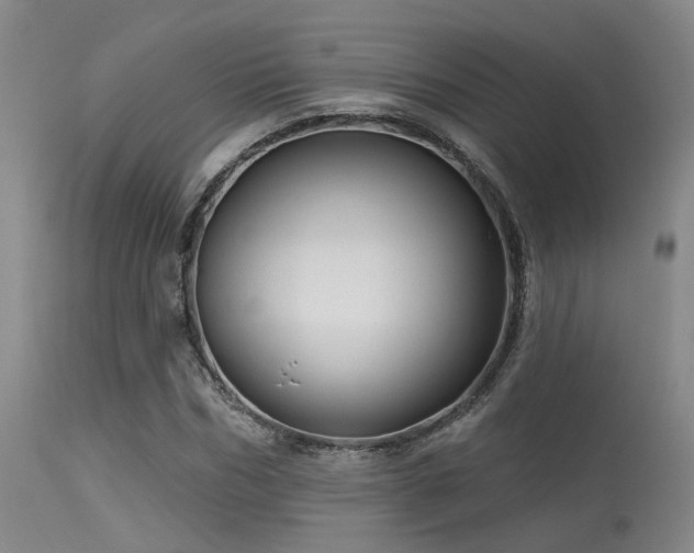 X0000113610970200909251138